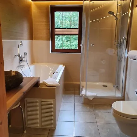 Hotel Und Restaurant Köhlerhütte - Fürstenbrunn Beierfeld