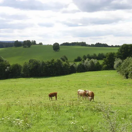 Отель Und Restaurant Koehlerhuette - Fuerstenbrunn