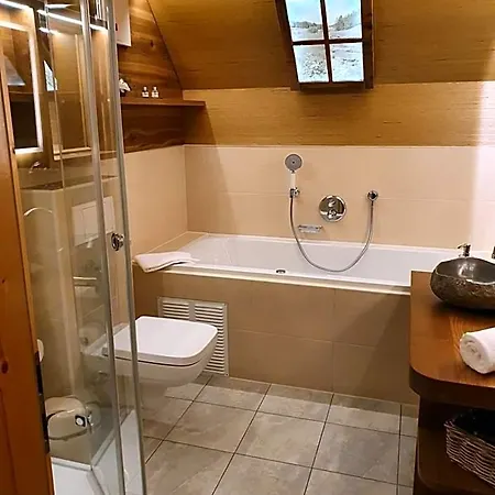 Hotel Und Restaurant Köhlerhütte - Fürstenbrunn Beierfeld