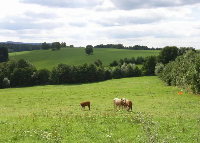 فندق Und Restaurant Koehlerhuette - Fuerstenbrunn