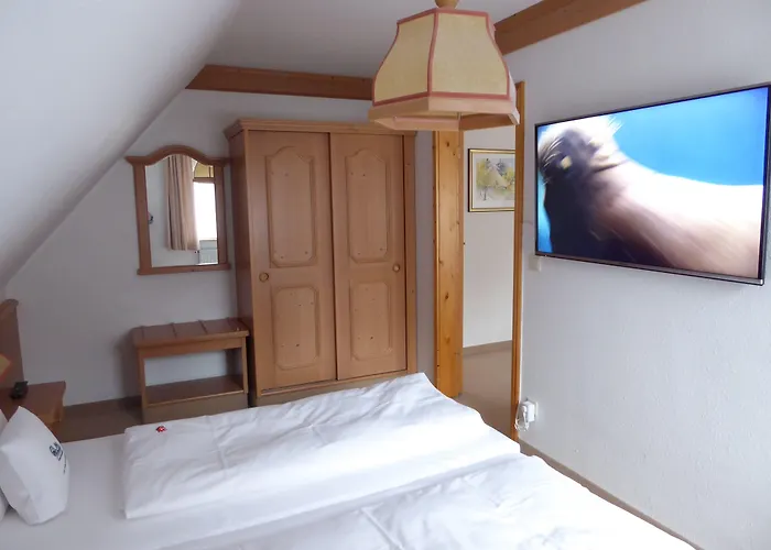 فندق Und Restaurant Koehlerhuette - Fuerstenbrunn 3*