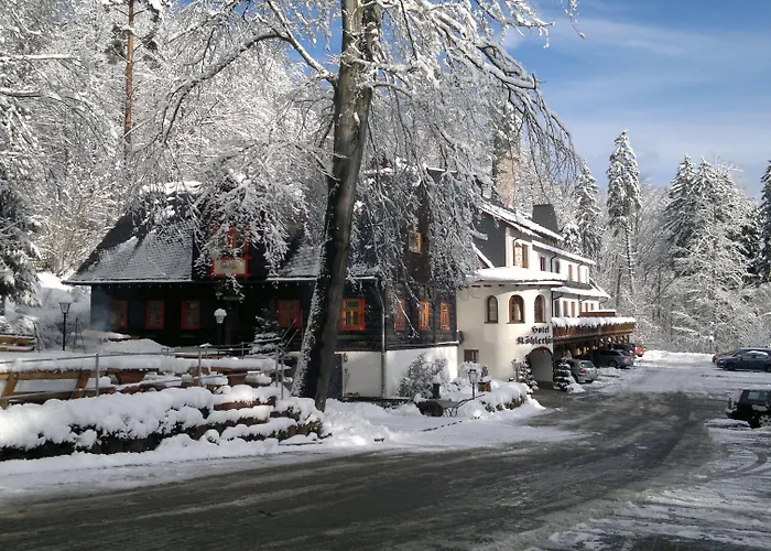 Und Restaurant Koehlerhuette - Fuerstenbrunn 3* Beierfeld